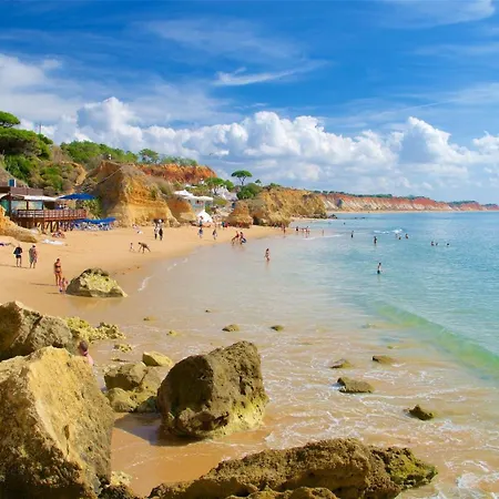 Apartment House Vidinha *